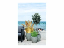 Discount POA Artificial 68 cm Planta Artificial