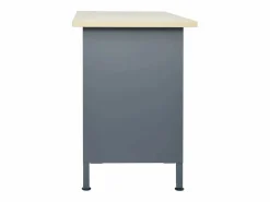 Garden Furniture Prolenta Premium - Banco de trabajo de acero negro 120x60x85 cm