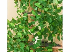 Online Merax Árbol para gatos - 60 x 45 x 190 cm - con 4 plataformas + agujeros para gatos - hojas extraíbles - MDF - Verde