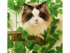 Online Merax Árbol para gatos - 60 x 45 x 190 cm - con 4 plataformas + agujeros para gatos - hojas extraíbles - MDF - Verde