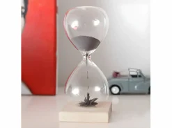 Kikkerland Reloj de arena magnético de 1 minuto