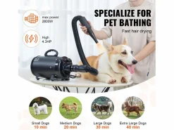 Discount Secador de Pelo para Mascotas SucceBuy de 2000 W, Velocidad Ajustable, 4 Boquillas, Color Negro