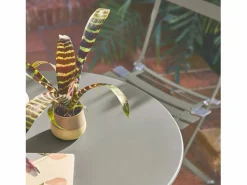 Clearance Sweeek Set mesa de jardín bistró plegable de acero con 2 sillas, ø60cm verde Caqui