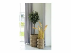 Best Set van 2 ronde SARBAS manden – Natuurlijk zeegras Cesta
