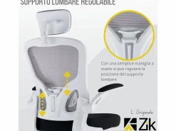Best Silla de oficina Silla ergonómica Soporte lumbar con reposabrazos y reposacabezas oscilante, y gris - ZIK Silla De Oficina