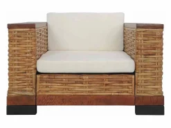 vidaxl Sillón con cojines ratán natural marrón
