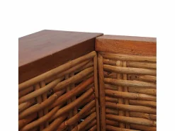 vidaxl Sillón con cojines ratán natural marrón