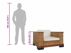 vidaxl Sillón con cojines ratán natural marrón