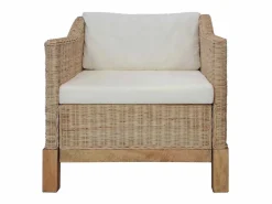 vidaxl Sillón con cojines ratán natural