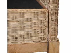 vidaxl Sillón con cojines ratán natural