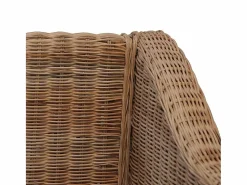 vidaxl Sillón con cojines ratán natural