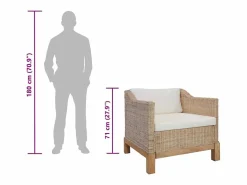 vidaxl Sillón con cojines ratán natural