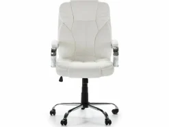 VS Venta-stock Sillón de Oficina elevable y reclinable Nixon, Piel sintética, Color