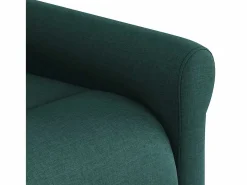 Sillón de salón | Silla | Sillón de masaje reclinable de tela verde oscuro SHL5405