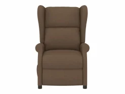 Online Sillón de salón | Silla | Sillón orejero reclinable eléctrico tela marrón SHL5999 Marru00f3n