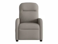 Sillón de salón | Silla | Sillón de masaje reclinable de tela gris taupé SHL2271