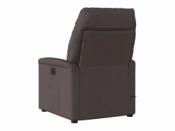Sillón de salón | Silla | Sillón de masaje reclinable de tela marrón oscuro SHL7401