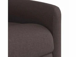 Sillón de salón | Silla | Sillón de masaje reclinable de tela marrón oscuro SHL7401