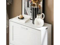 Outlet Sobuy FSR137-W Zapatero estrecho con 2 Solapas 60 x 25 x 80 cm Blanco