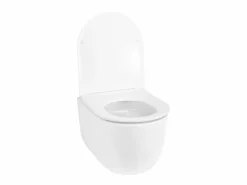 Clearance Taza De Inodoro Wc Richard White Inodoro Suspendido