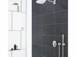 Sale GROHE Teleducha Euphoria Cosmopolitan de 1 chorro Gris claro