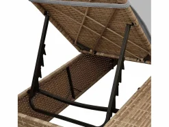 Clearance vidaxl Tumbona doble Ajustable Gris 205 x 129 x 200 cm ratán sintético Beige