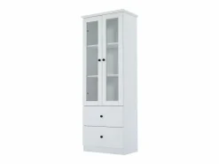 ModernLuxe Vitrina LED moderna 60x35x165 cm - con puerto USB - Mando a distancia 16 colores - con 2 cajones - con 2 puertas de cristal -