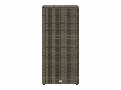 Discount Garden Furniture Ylira Armario de almacenaje de jardín ratán PE 50x55x115 cm Gris