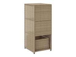 Garden Furniture Ylira Armario de almacenaje de jardín ratán PE 50x55x115 cm