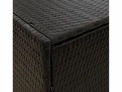 New Garden Furniture Zane Scott Armario de almacenaje de jardín ratán PE 59x40x180 cm Negro
