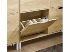 Sobuy Zapatero Estrecho con 4 Solapas Organizador FSR100-N ES